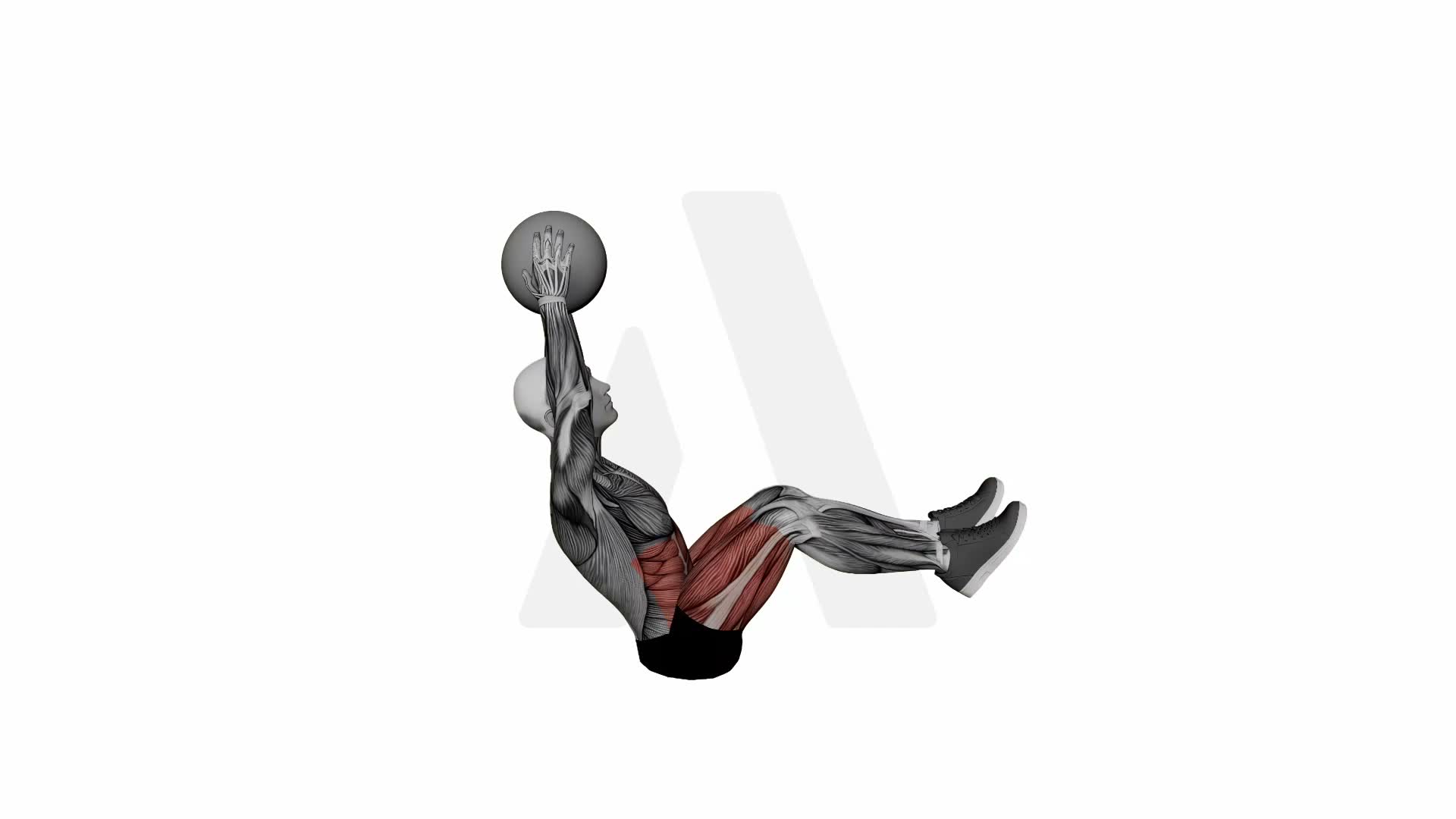 Hold The World Med Ball exercise demonstration