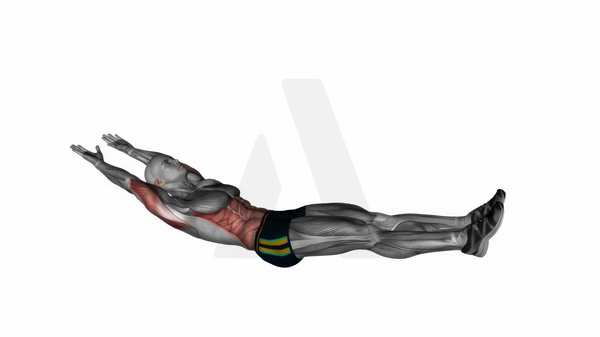 Hollow Hold exercise demonstration