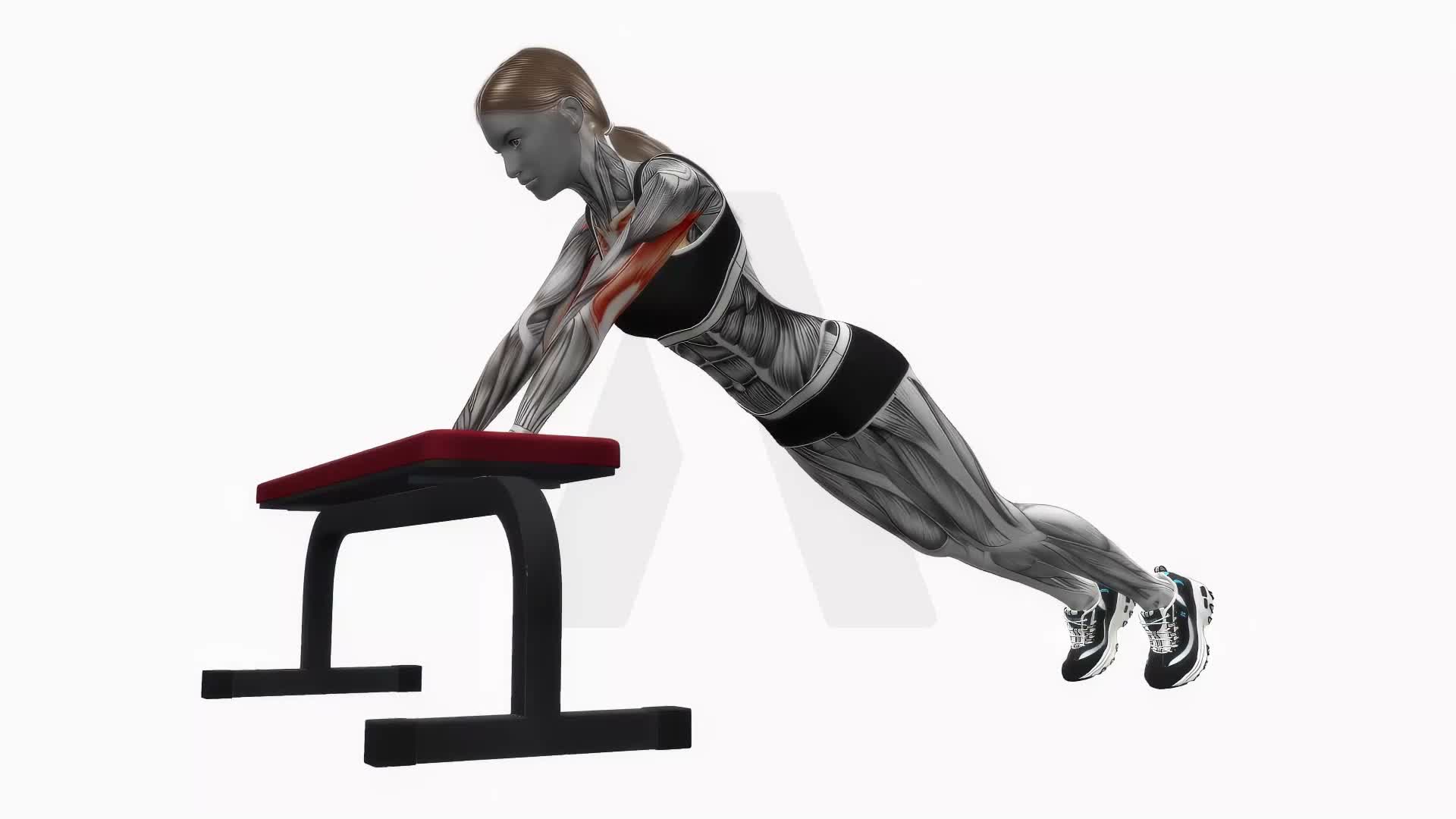 Incline Diamond Push Up On Bench exercise demonstration