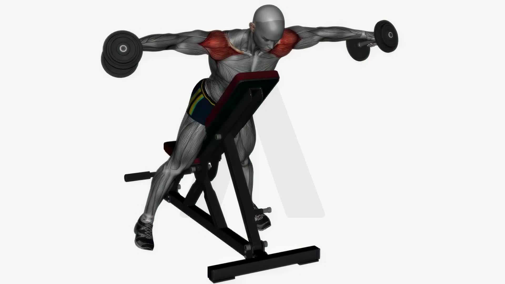 Incline Lateral Raises Dumbbell exercise demonstration