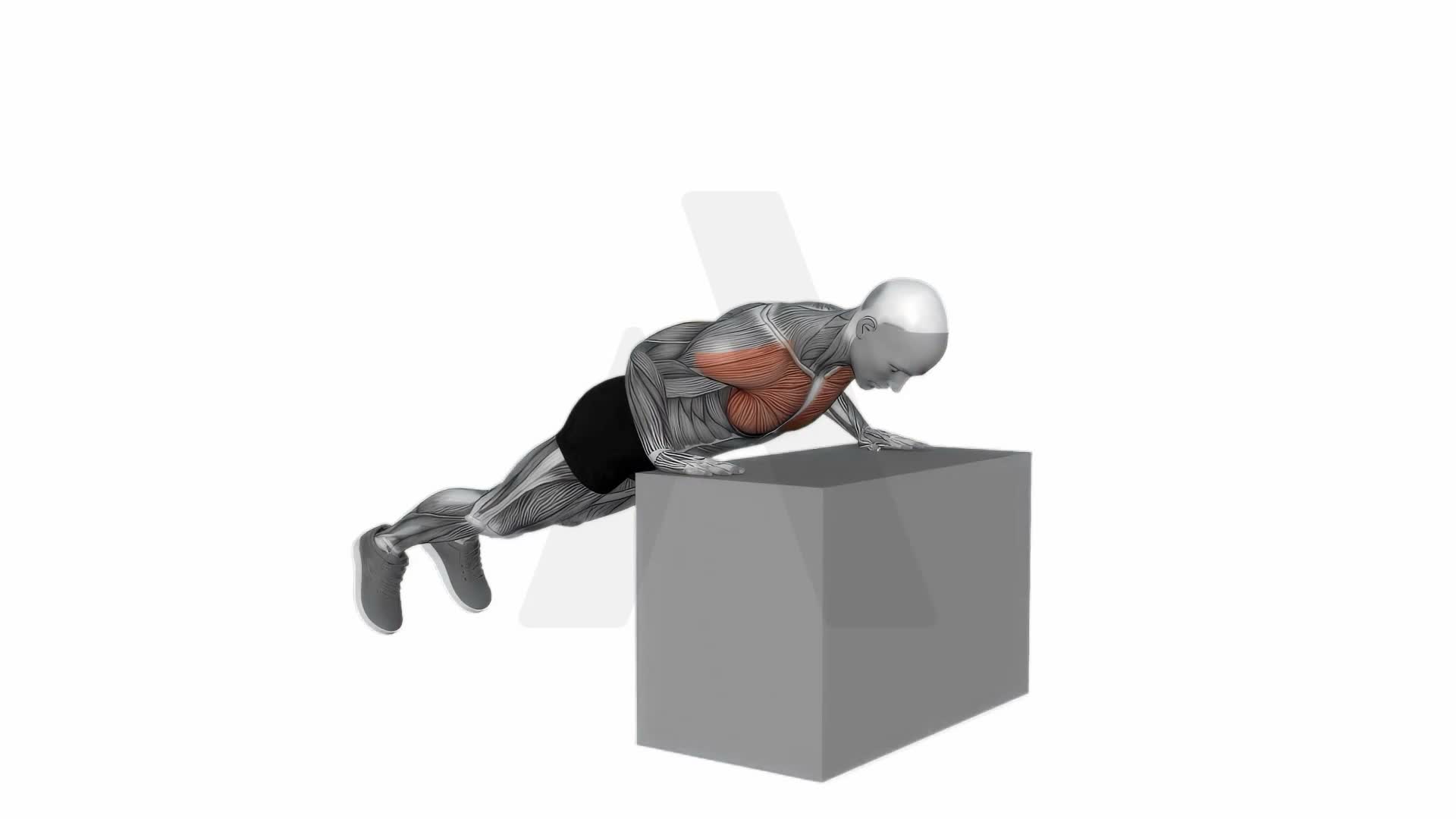 Incline Push Up (On Box) exercise demonstration