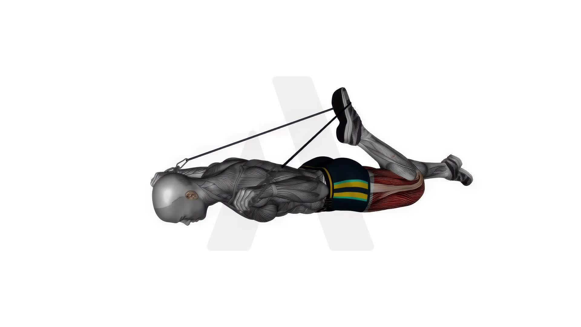Intermediate Hip Flexor And Quad Stretch exercise demonstration