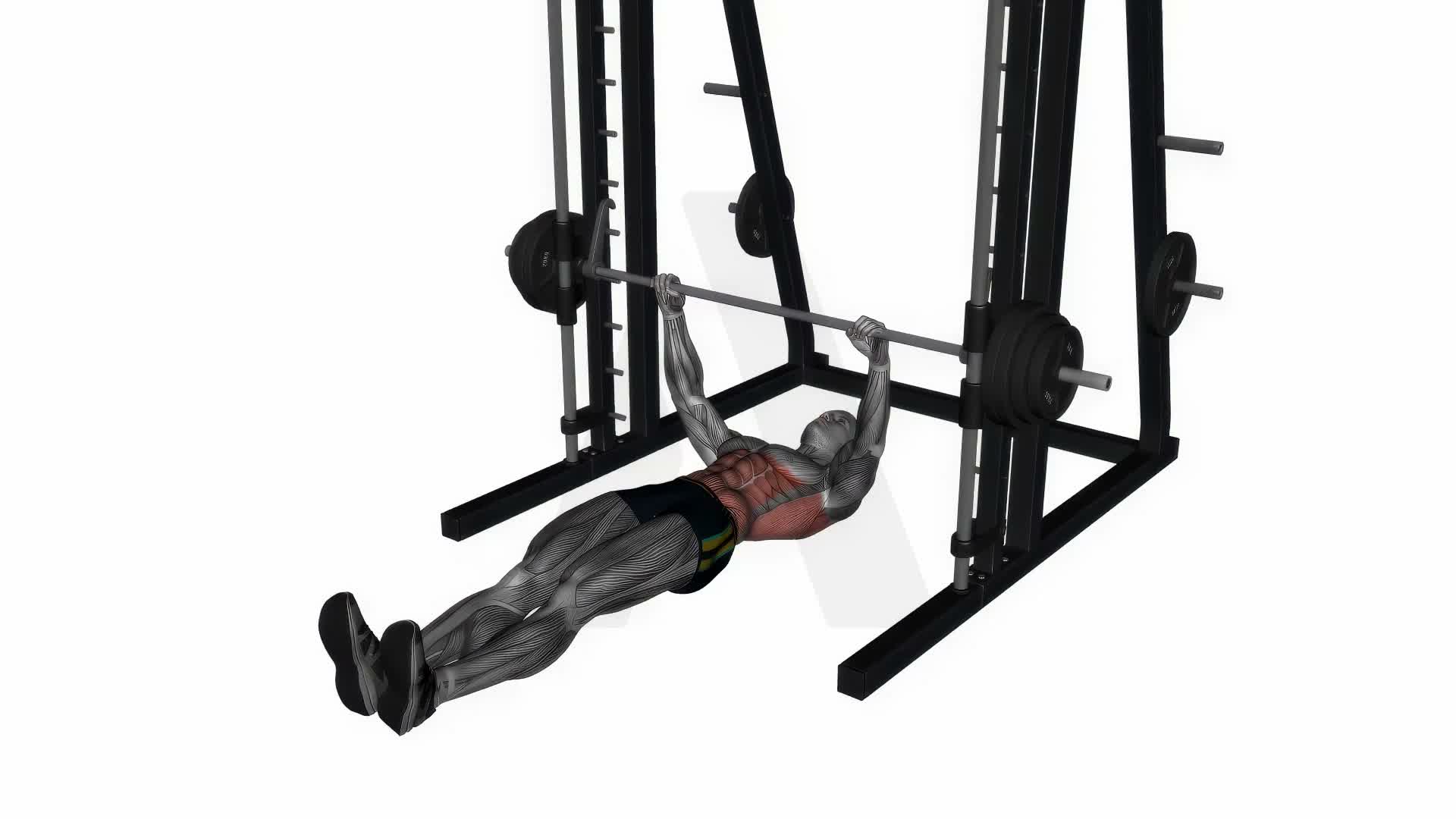 Inverted Rows On Smith Machine exercise demonstration