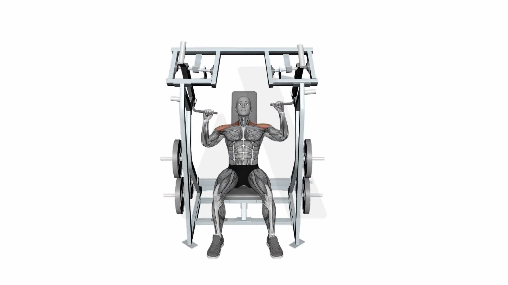 Iso Lateral Shoulder Press Alternate Arms exercise demonstration