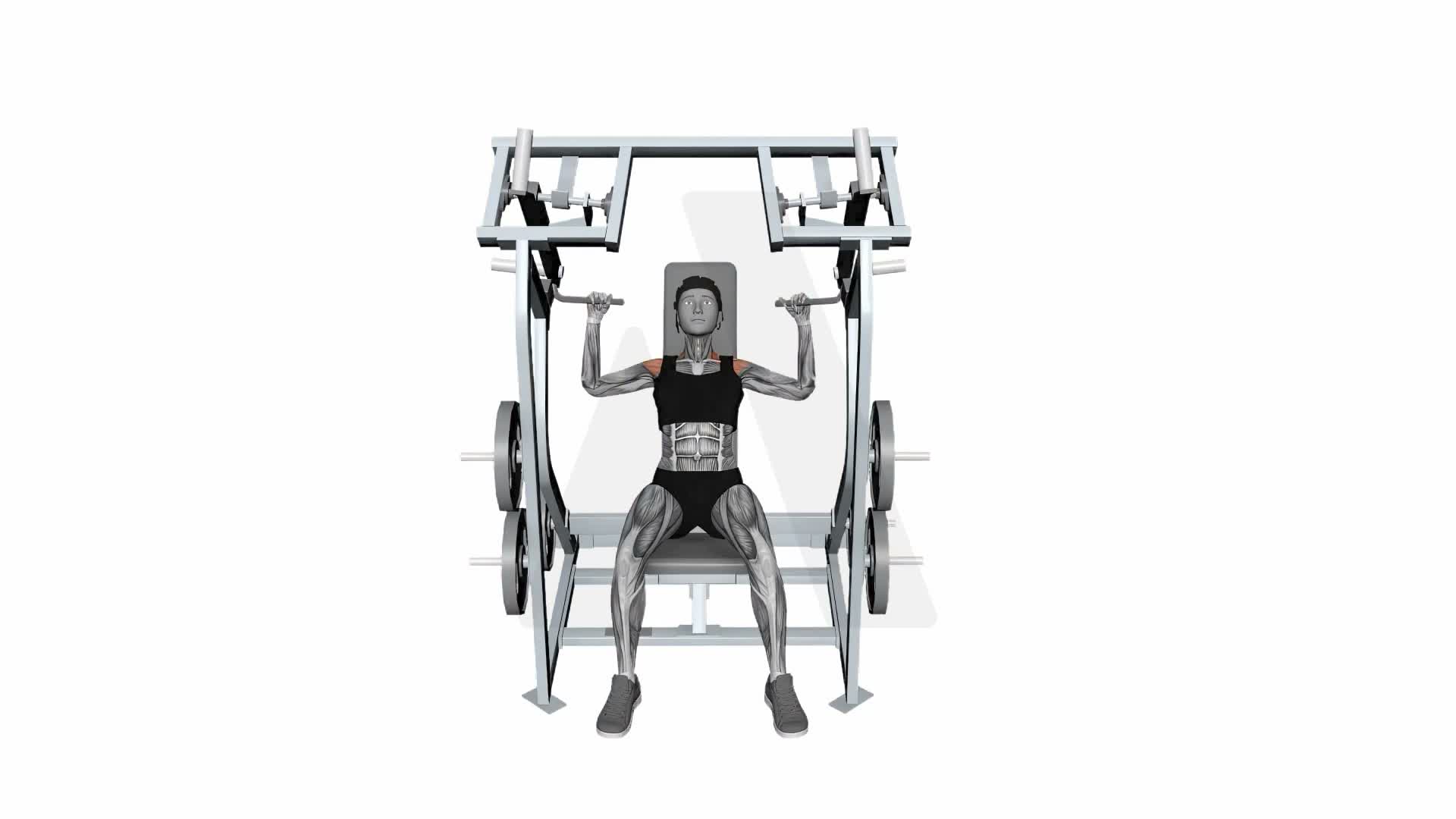 Iso Lateral Shoulder Press Both Arm exercise demonstration