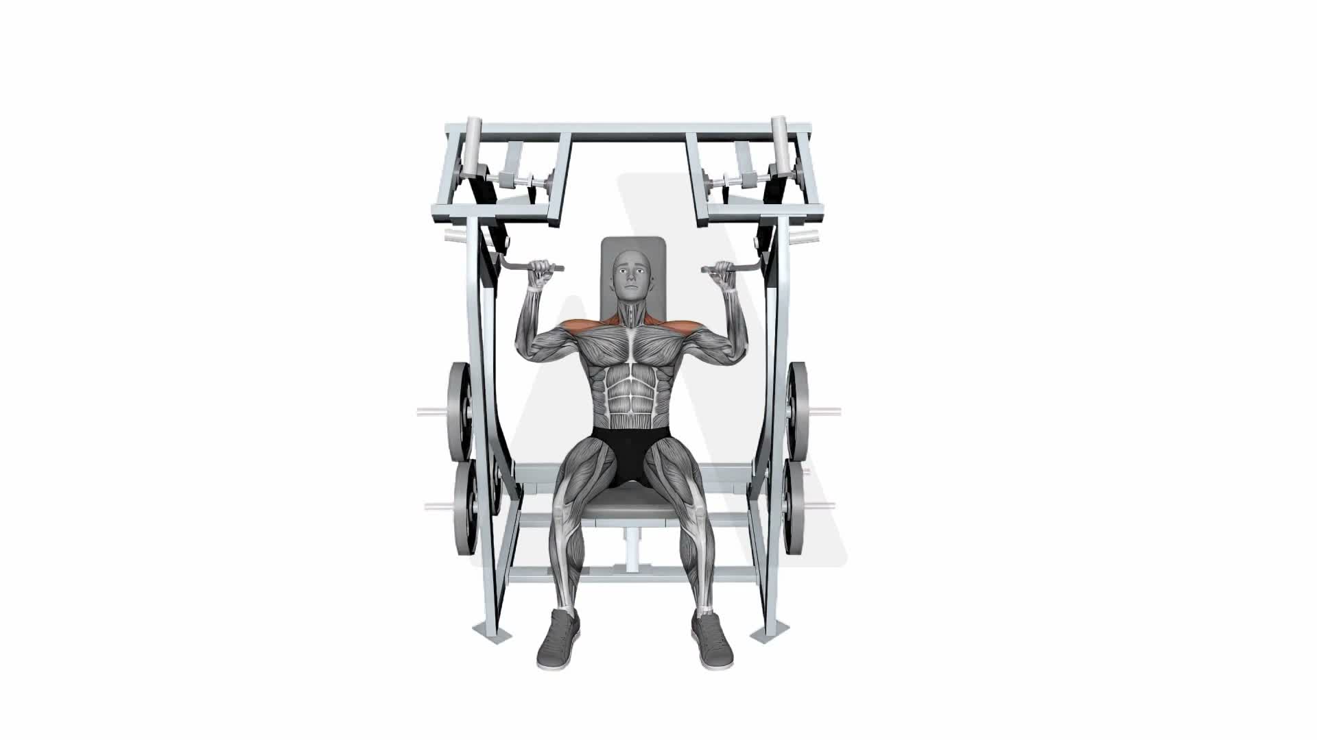 Iso Lateral Shoulder Press Both Arms exercise demonstration