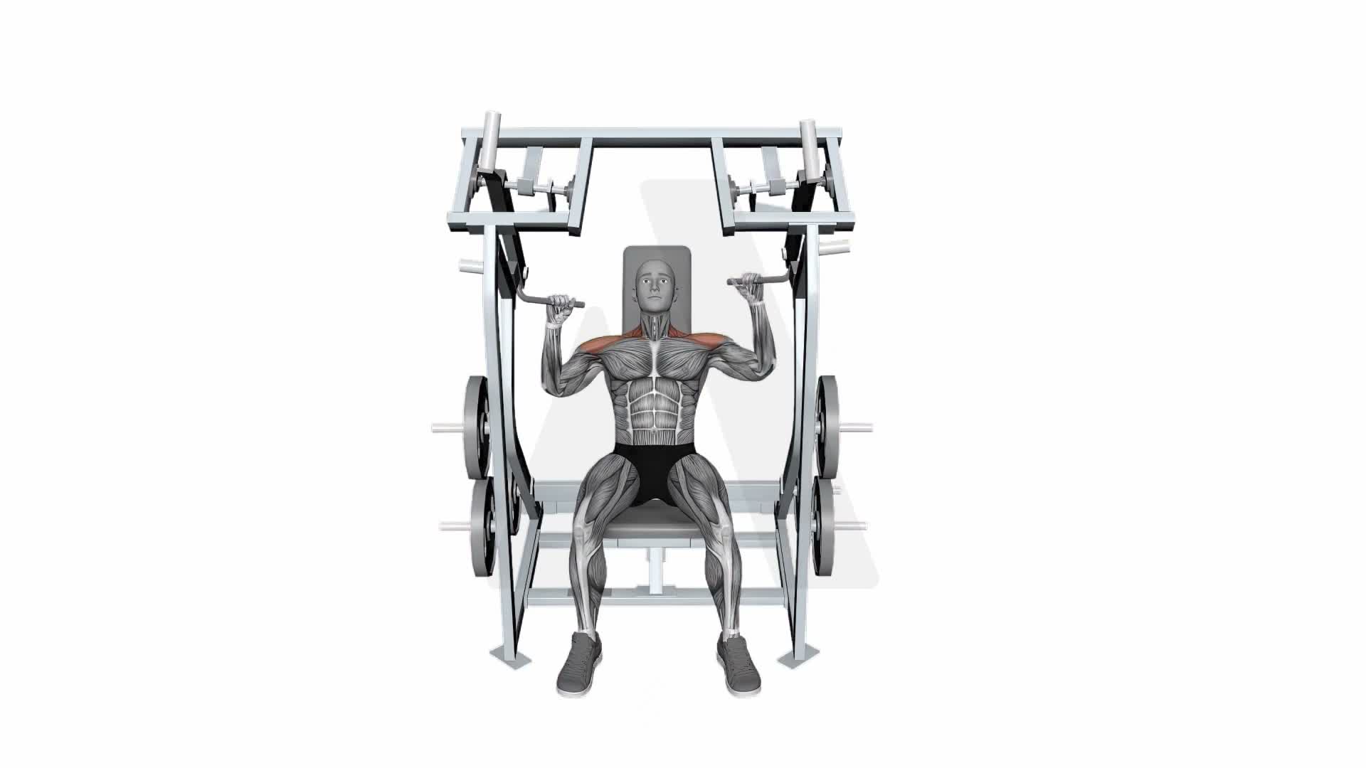 Iso Lateral Shoulder Press Single Arm exercise demonstration