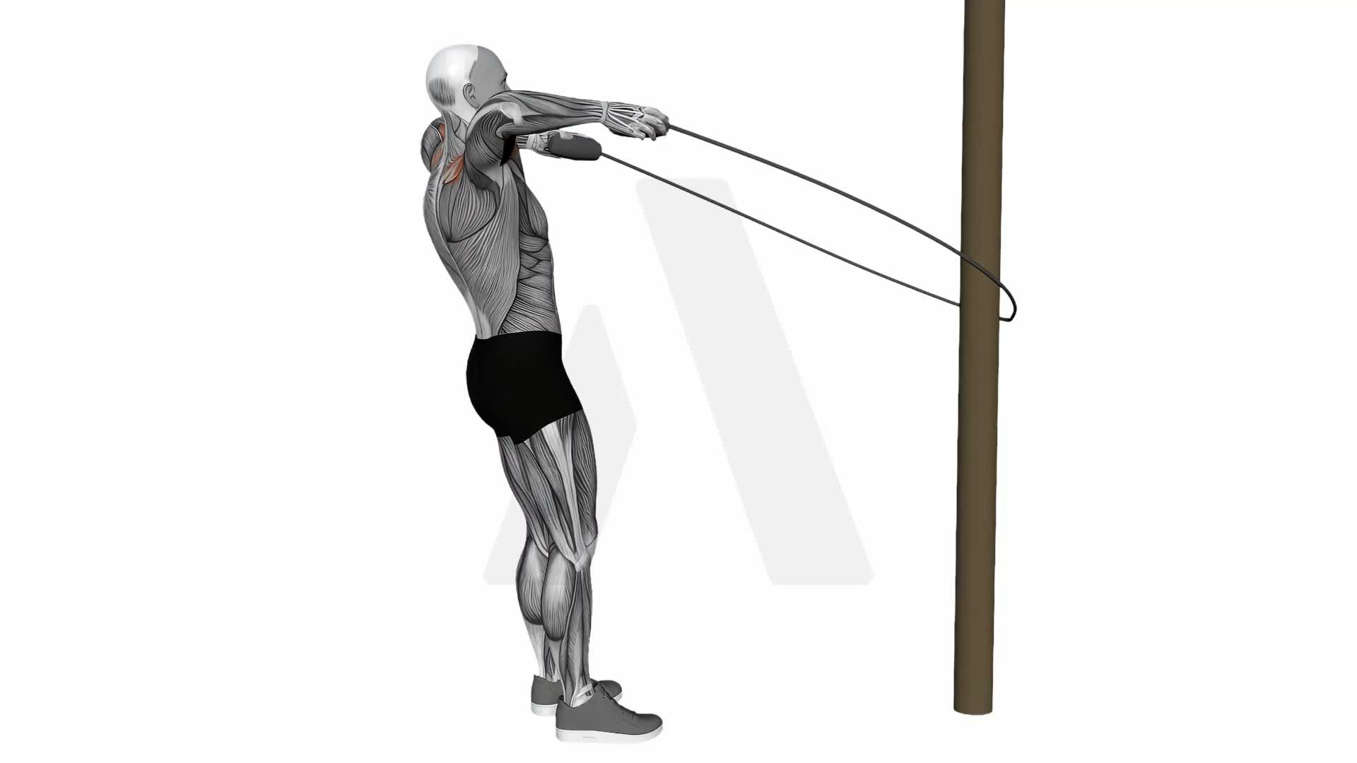 Jump Rope Face Pull exercise demonstration