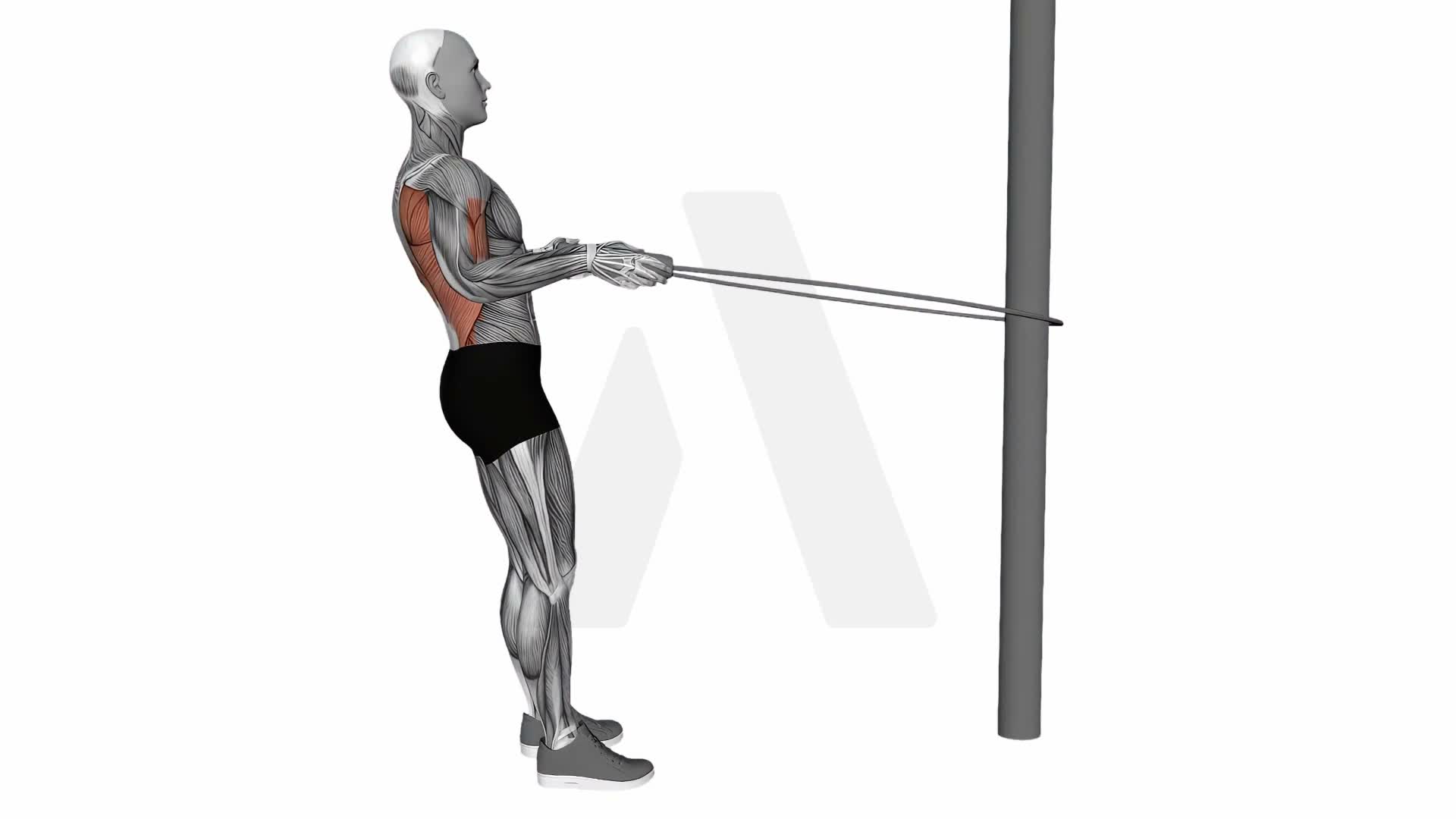 Jump Rope Row exercise demonstration