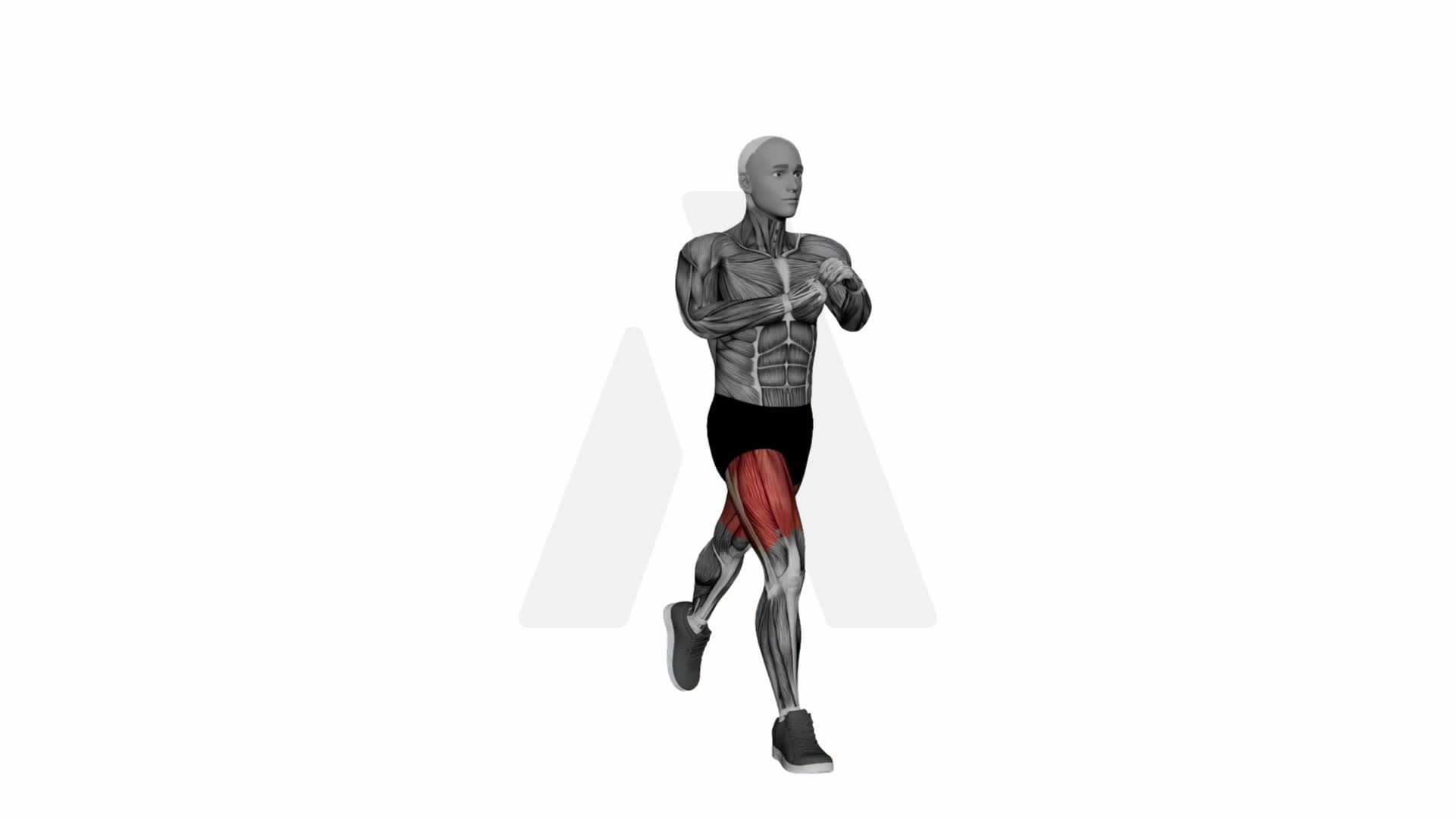 Jumping Lunge exercise demonstration