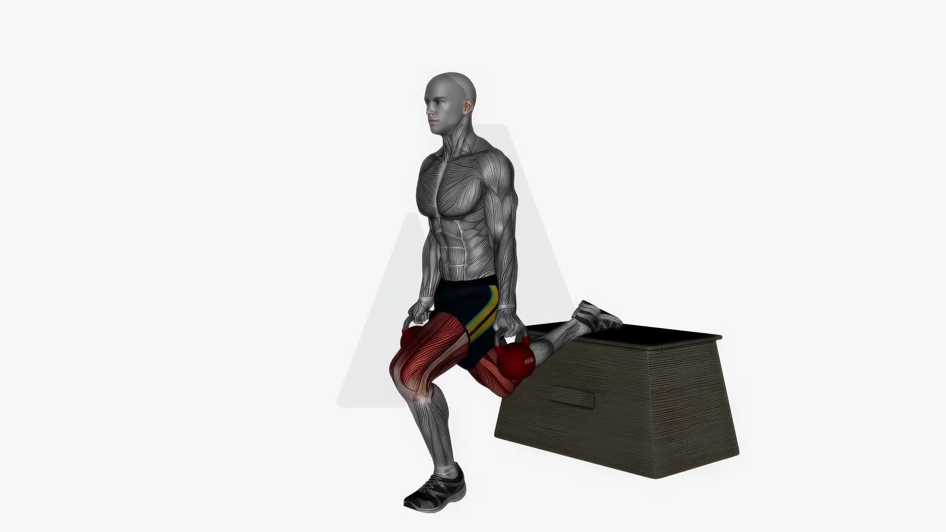 Kettlebell Bulgarian Split Squat Right exercise demonstration