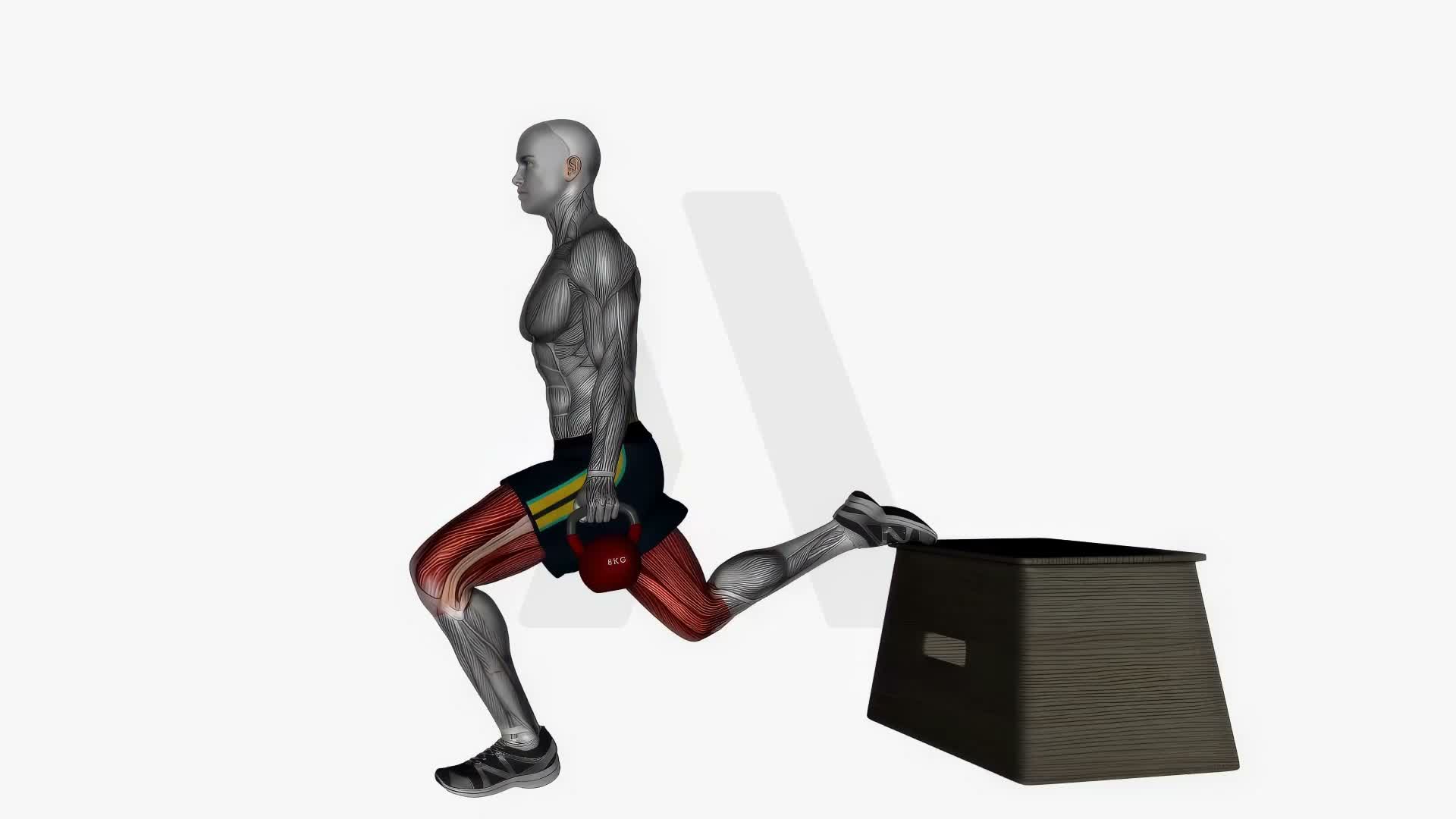 Kettlebell Bulgarian Split Squat Right Side View exercise demonstration