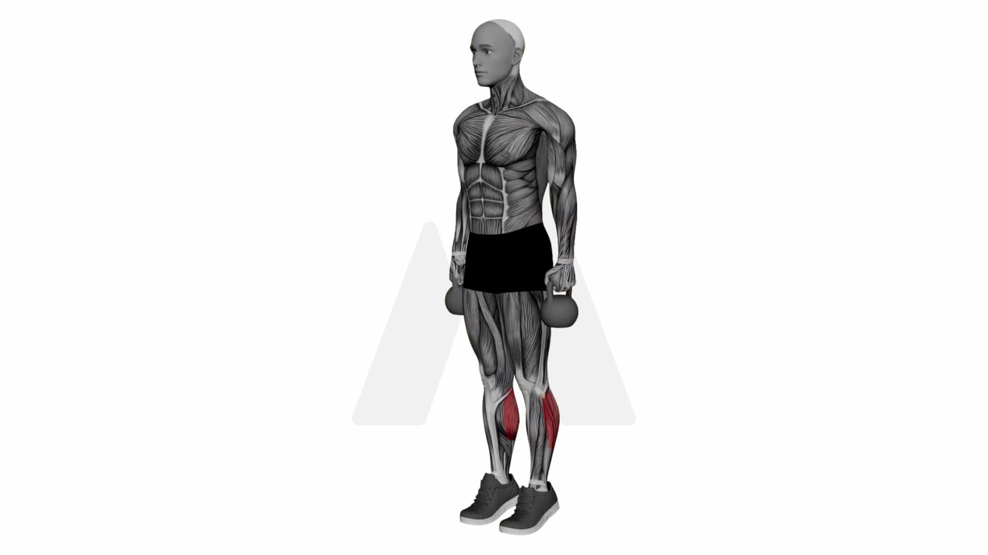 Kettlebell Calf Raise exercise demonstration