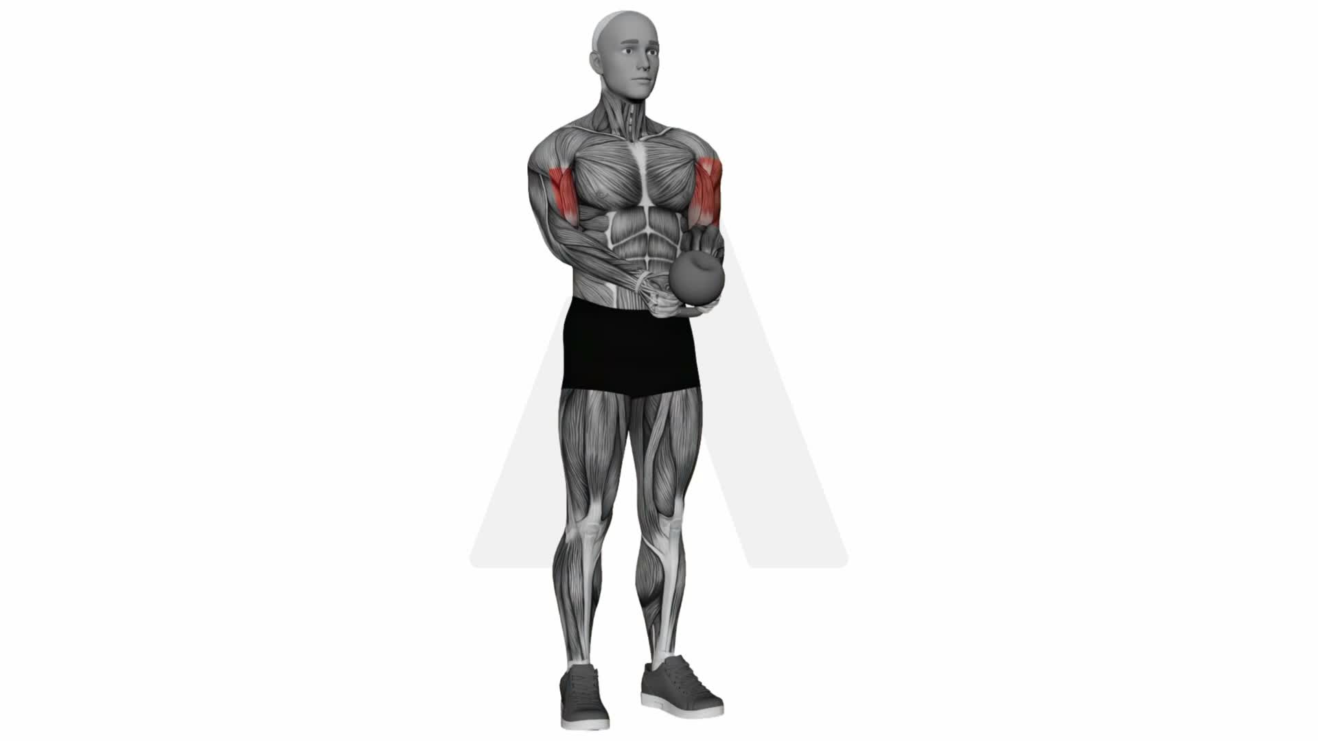 Kettlebell Goblet Curl exercise demonstration