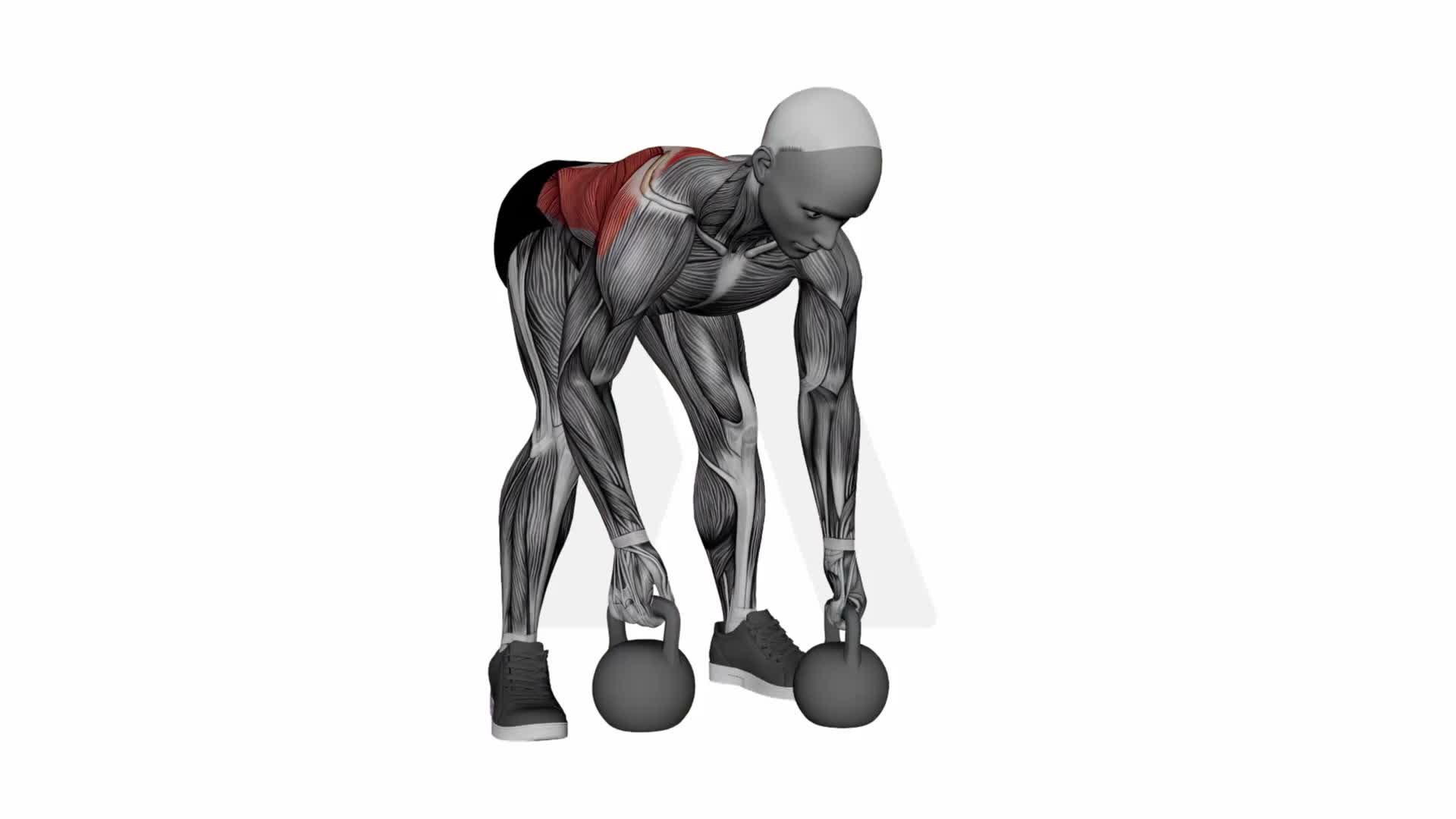 Kettlebell Gorilla Row exercise demonstration