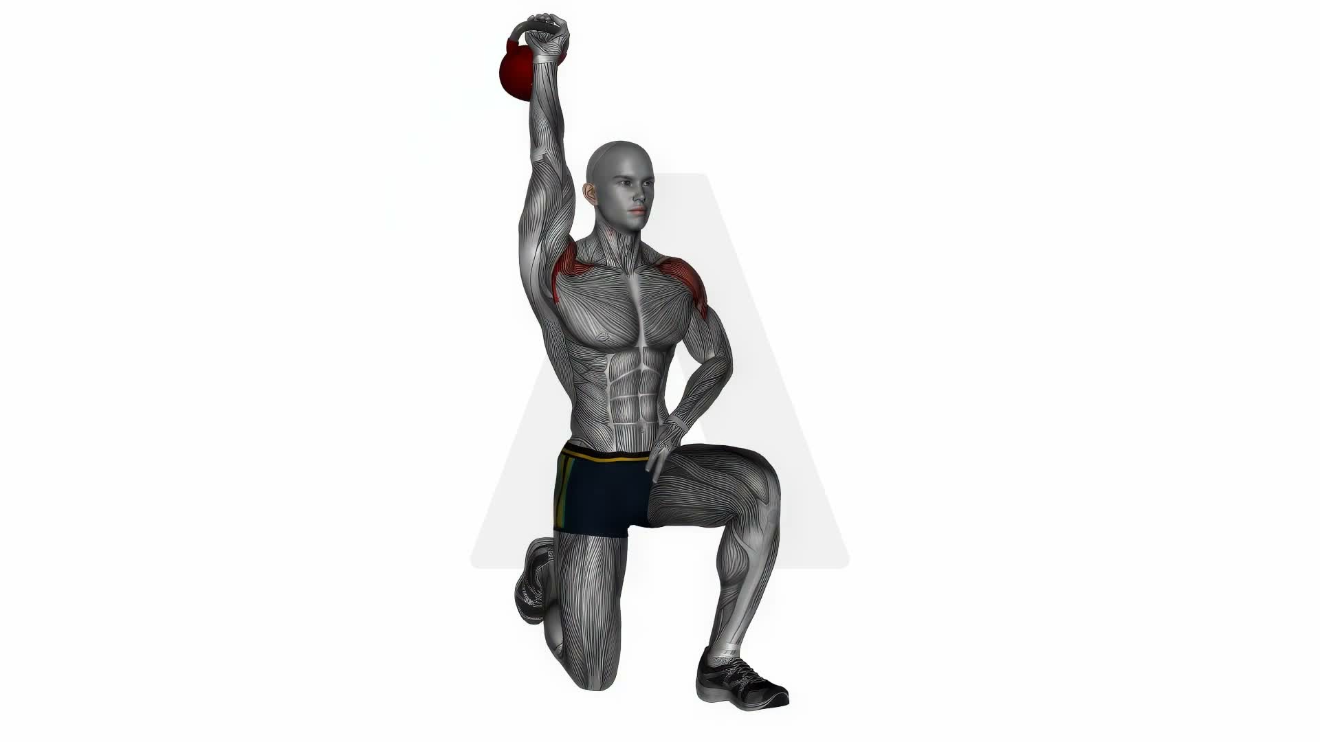 Kettlebell Half Kneeling Shoulder Press exercise demonstration