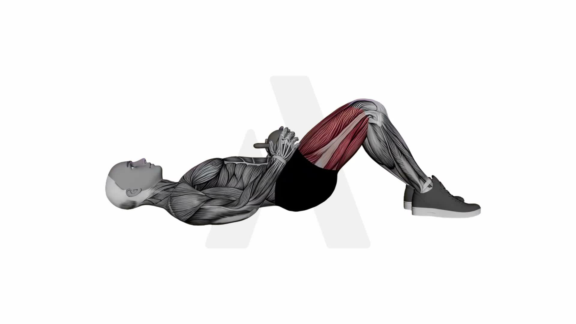 Kettlebell Hip Thrusts exercise demonstration