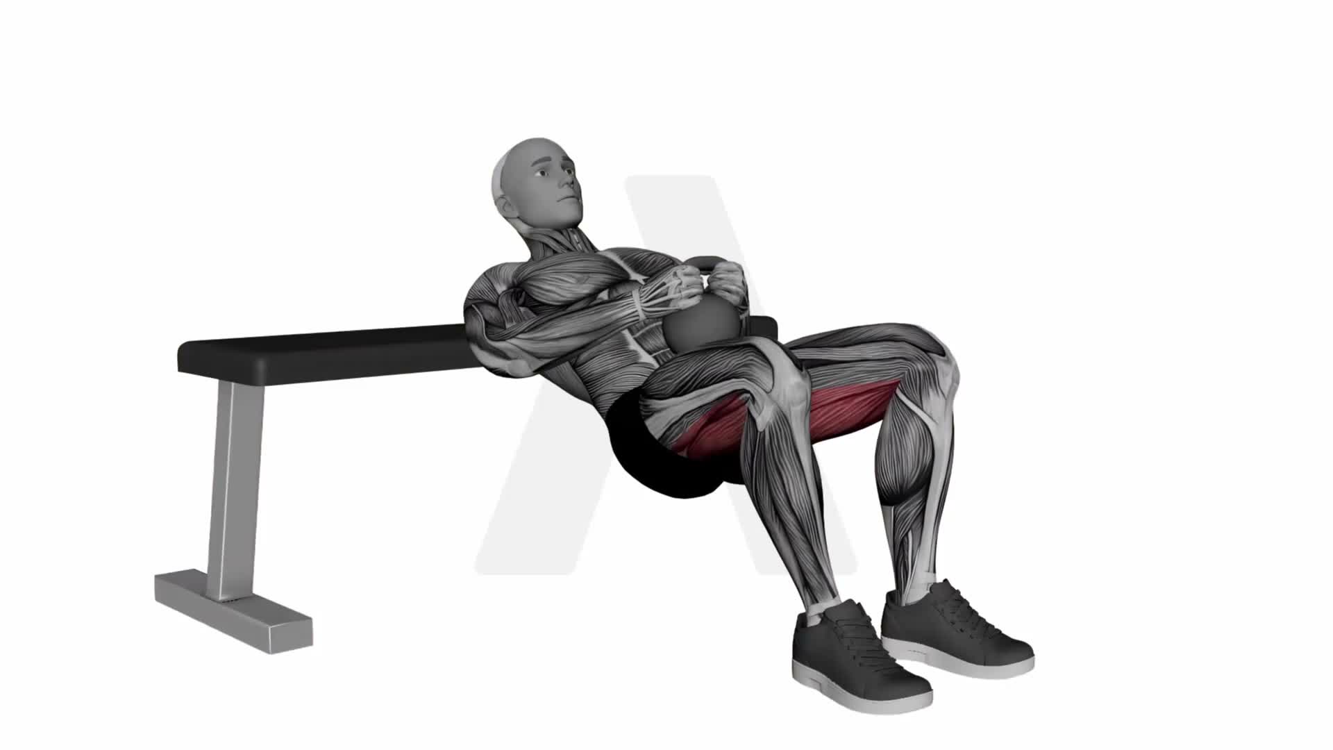 Kettlebell Hip Thrusts With Bench exercise demonstration