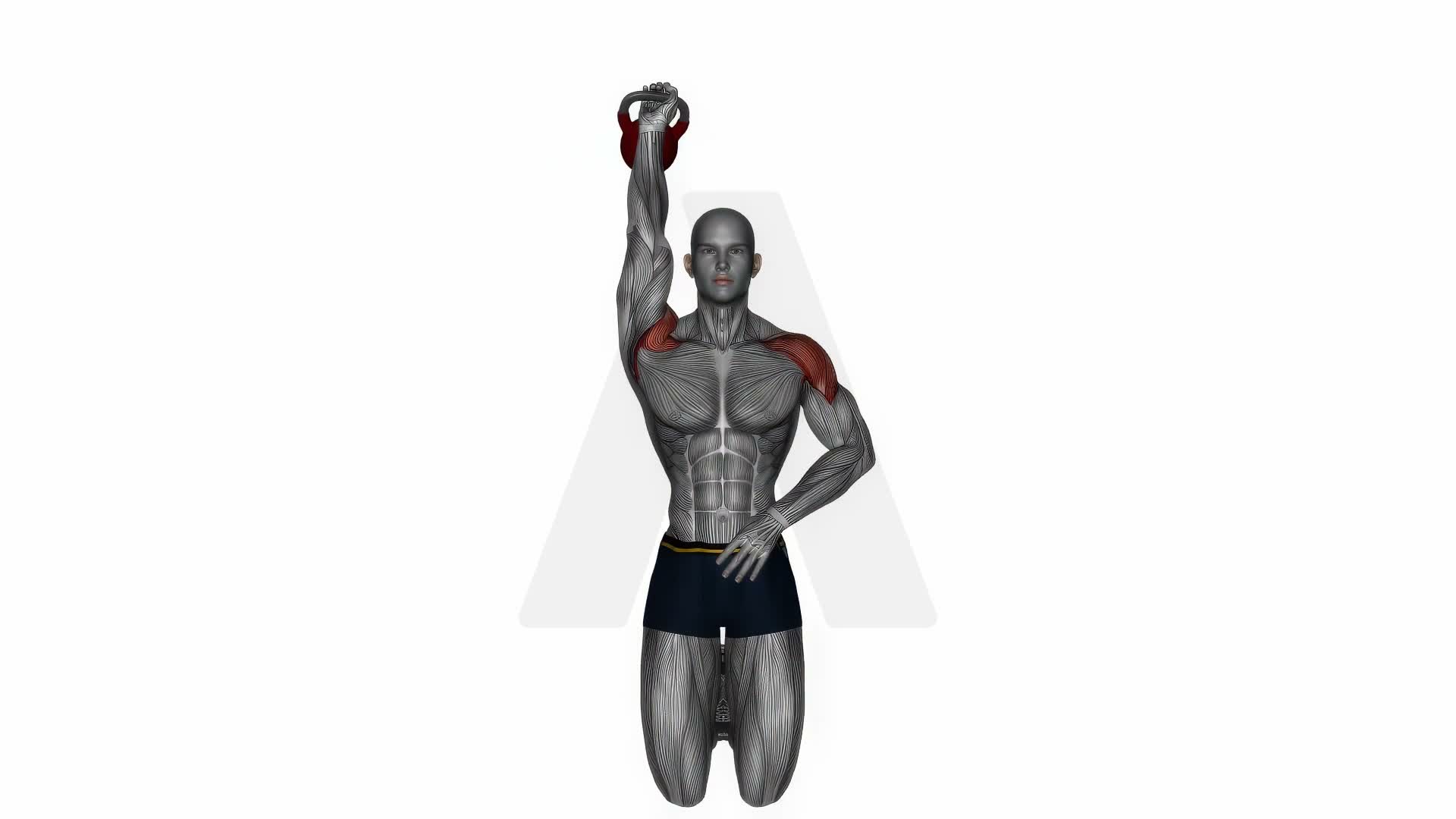 Kettlebell Kneeling One Arm Shoulder Press exercise demonstration