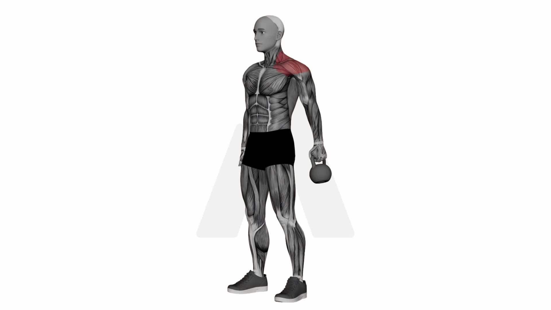Kettlebell Long Lever Lateral Raise exercise demonstration