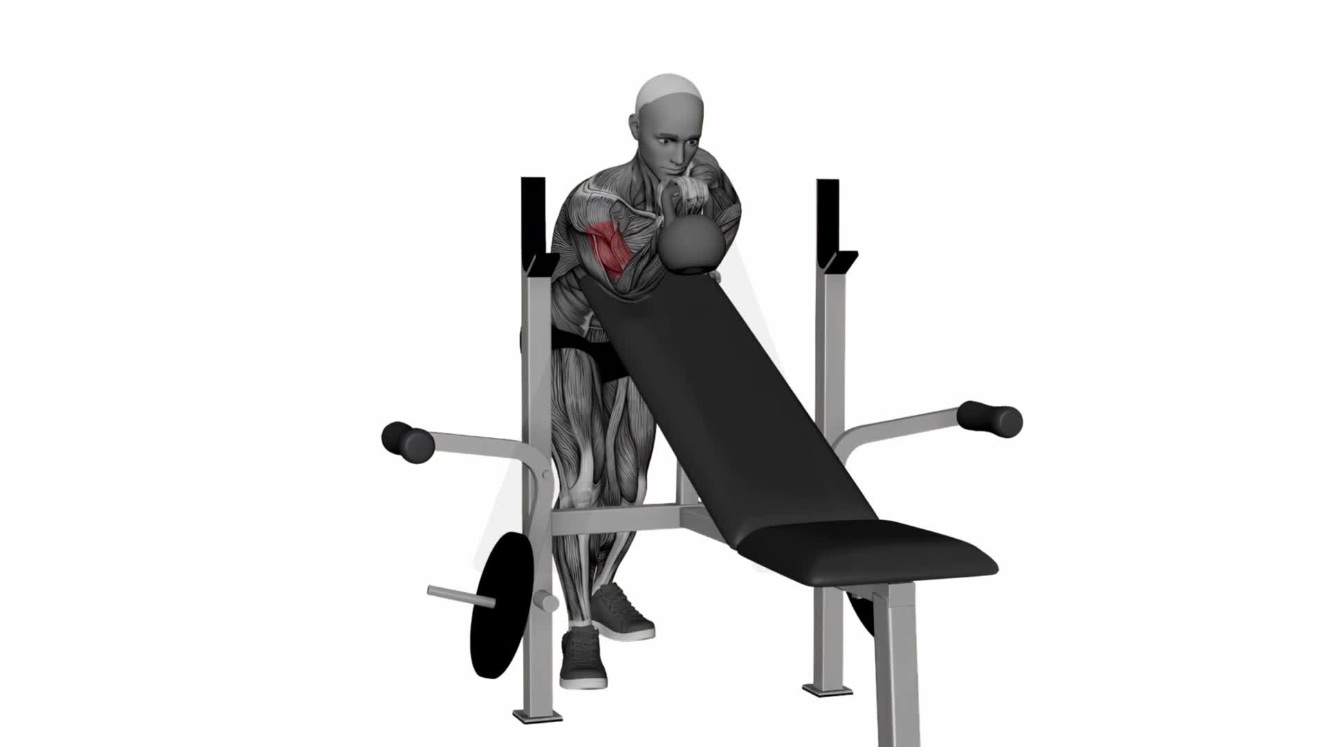 Kettlebell Preacher Curl exercise demonstration