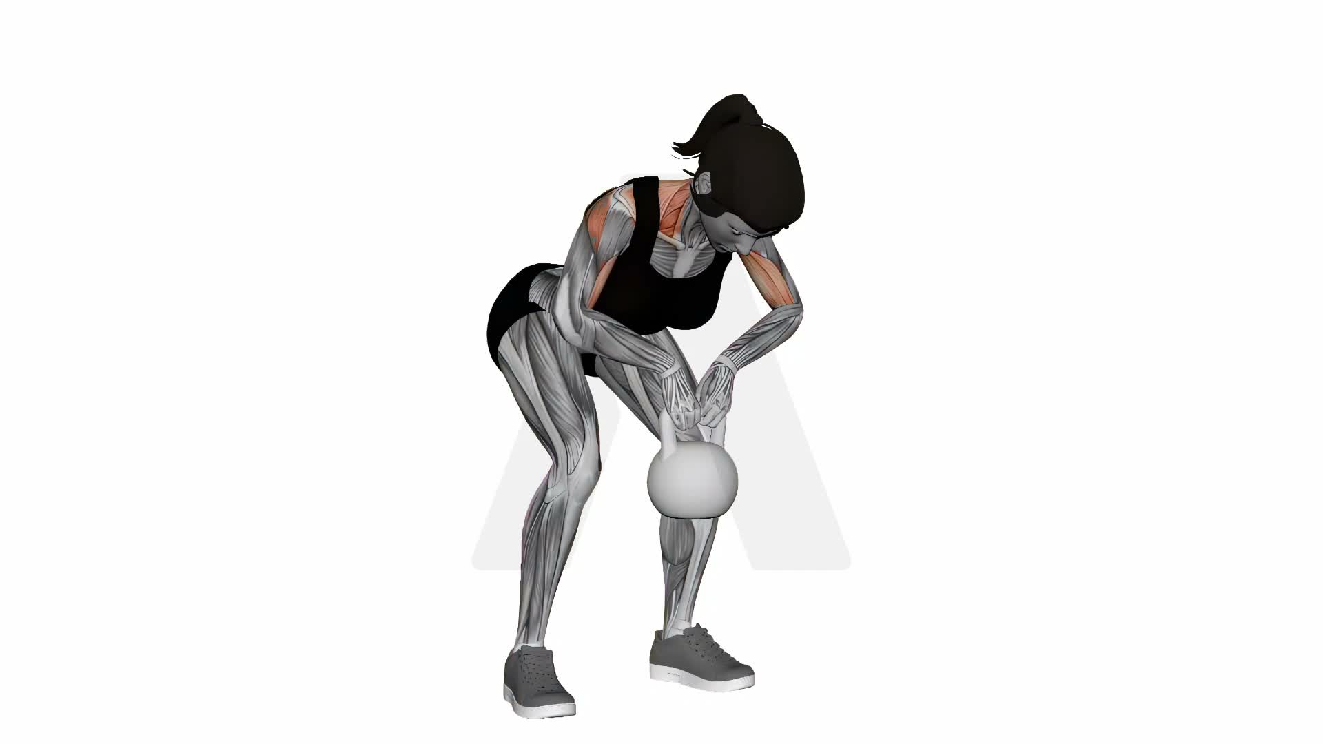 Kettlebell Rear Delt Row exercise demonstration