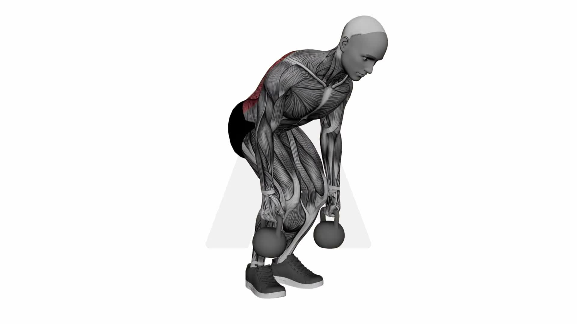 Kettlebell Row exercise demonstration