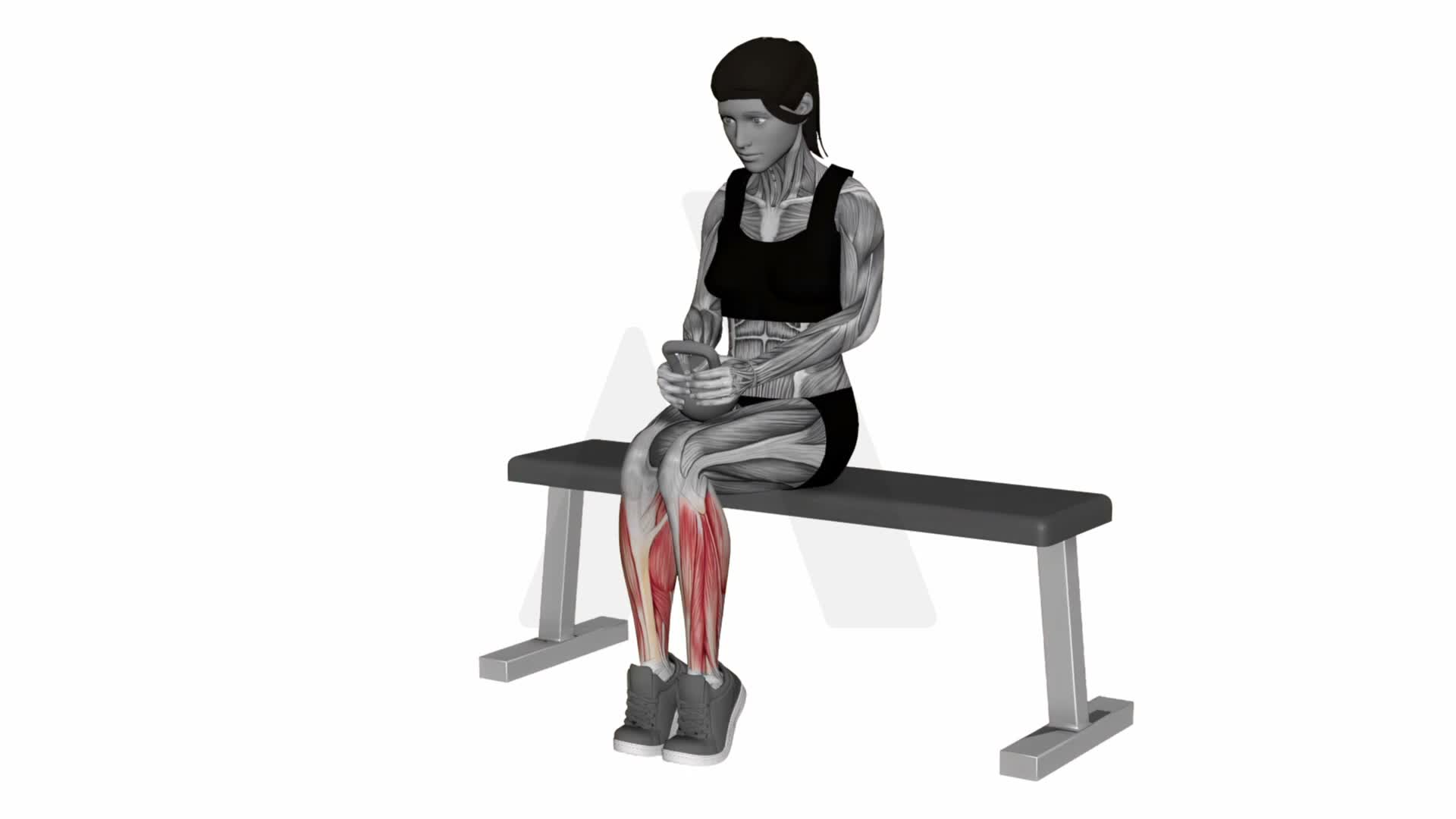 Kettlebell Seated Calf Raise exercise demonstration