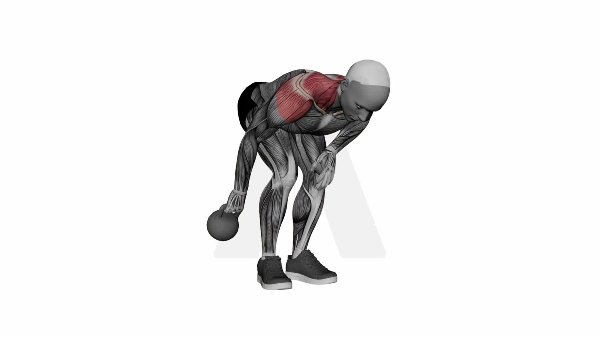 Kettlebell Shoulder Extension exercise demonstration