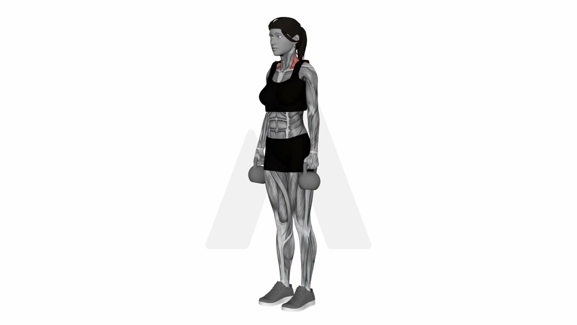 Kettlebell Shrug exercise demonstration