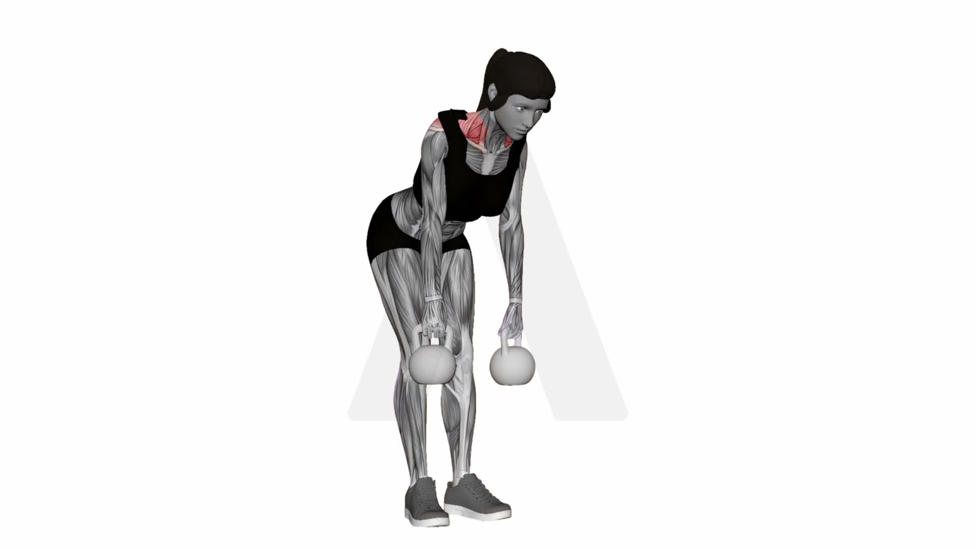 Kettlebell Silverback Shrug exercise demonstration