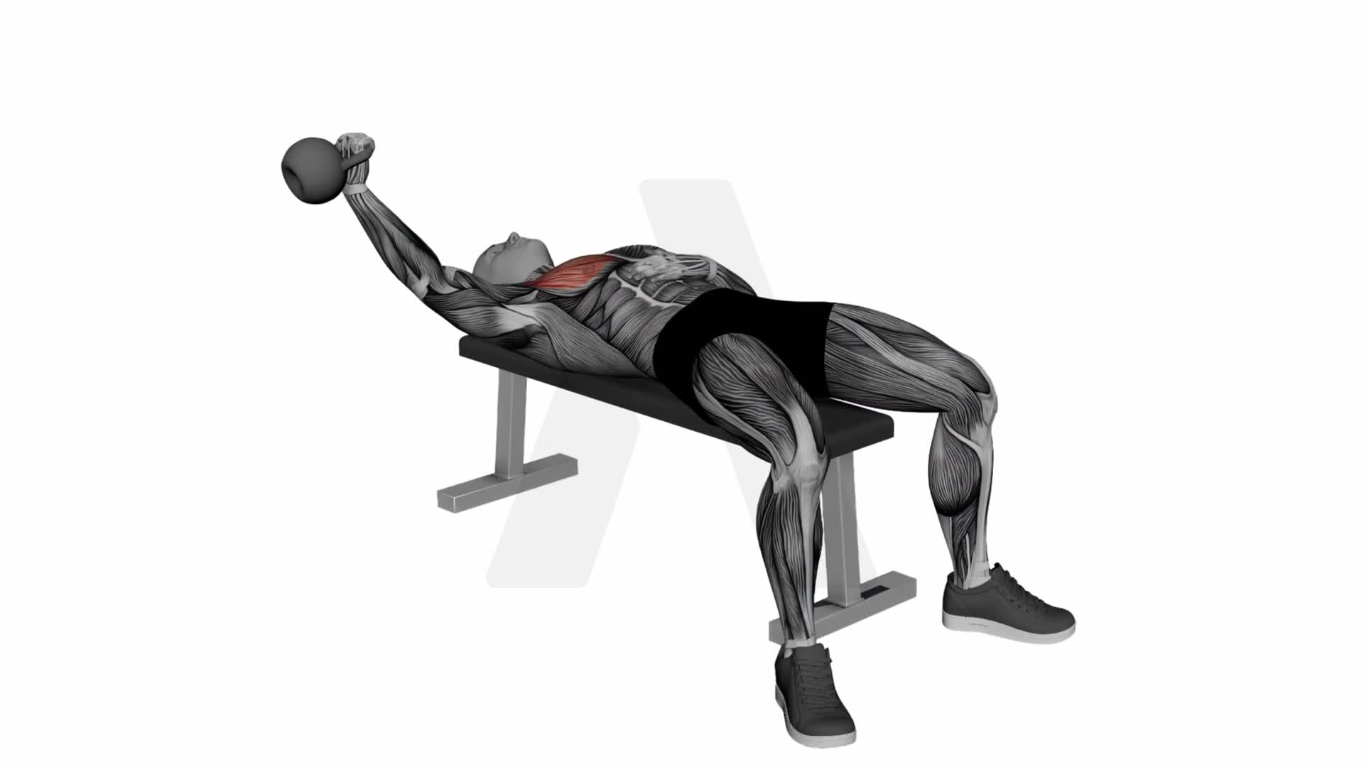 Kettlebell Single Arm Chest Fly exercise demonstration