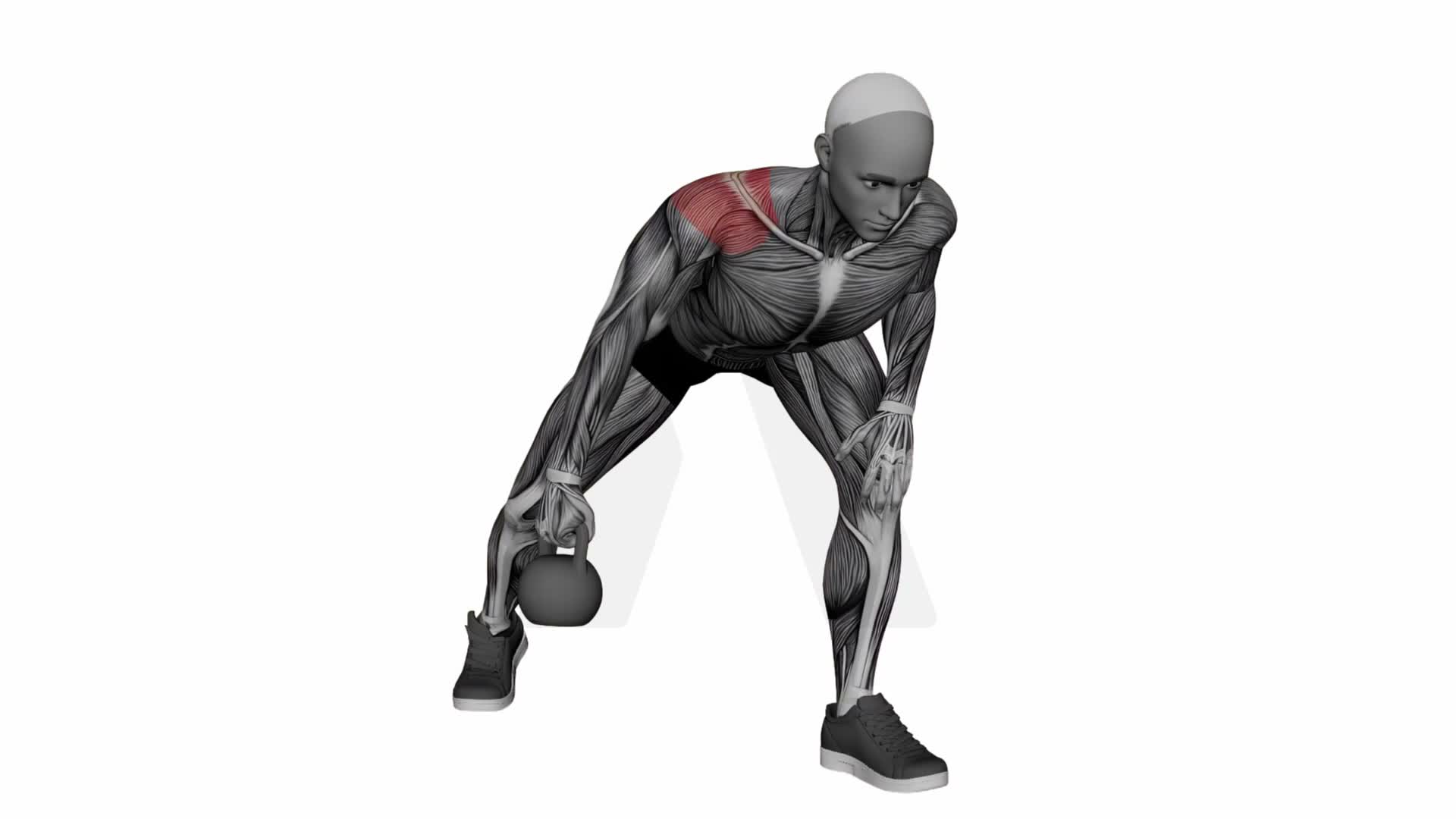 Kettlebell Single Arm Rear Delt Fly exercise demonstration