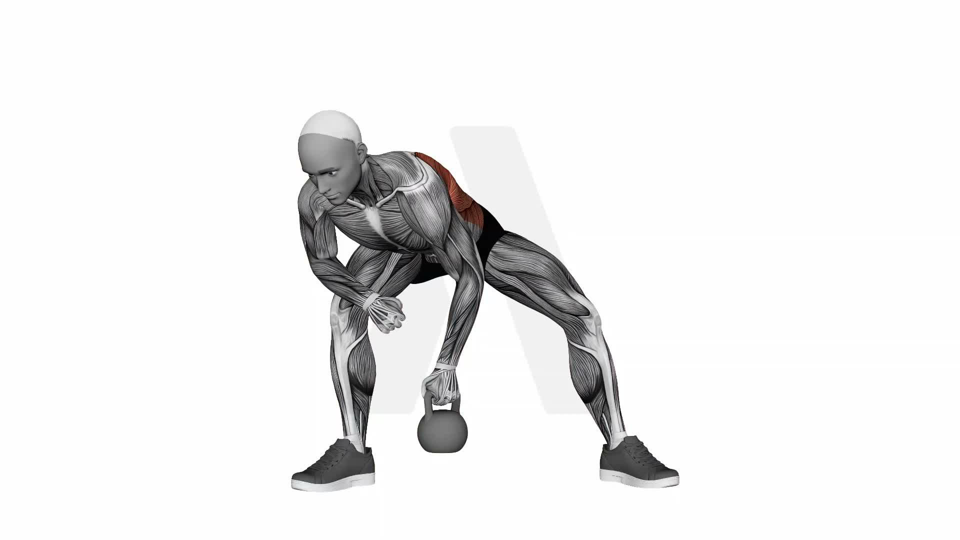 Kettlebell Single Arm Row exercise demonstration