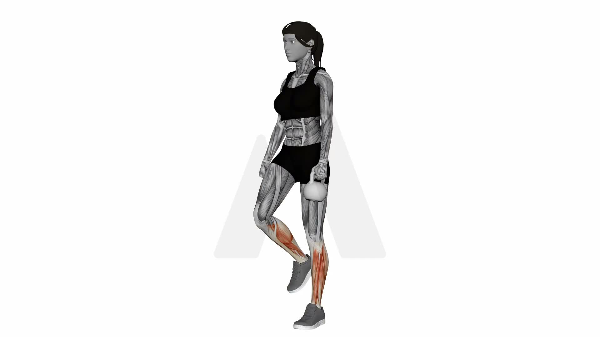 Kettlebell Single Leg Calf Raise exercise demonstration