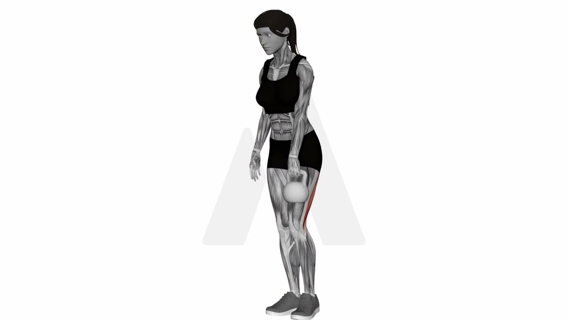 Kettlebell Single Leg Deadlift exercise demonstration