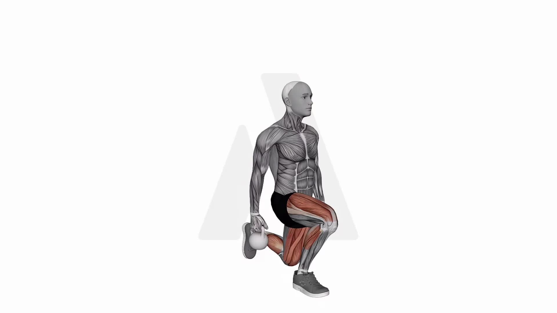 Kettlebell Split Squat exercise demonstration