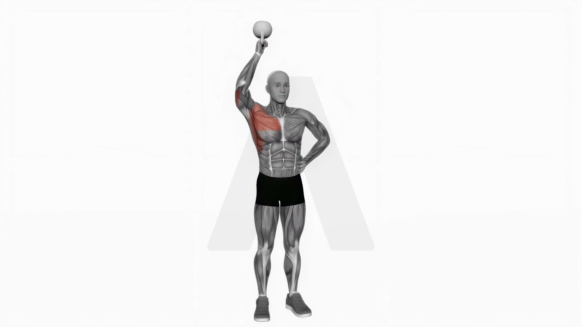 Kettlebell Standing Bottoms Up One Arm Shoulder Press exercise demonstration