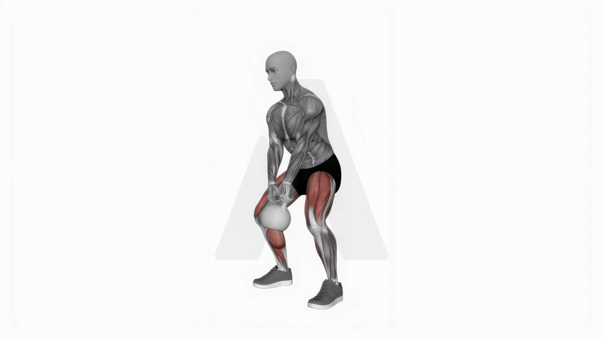 Kettlebell Sumo Deadlift exercise demonstration