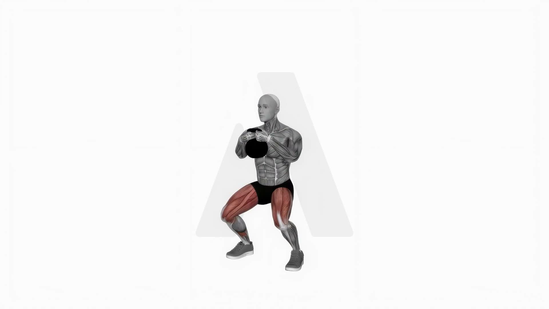 Kettlebell Sumo Squat exercise demonstration