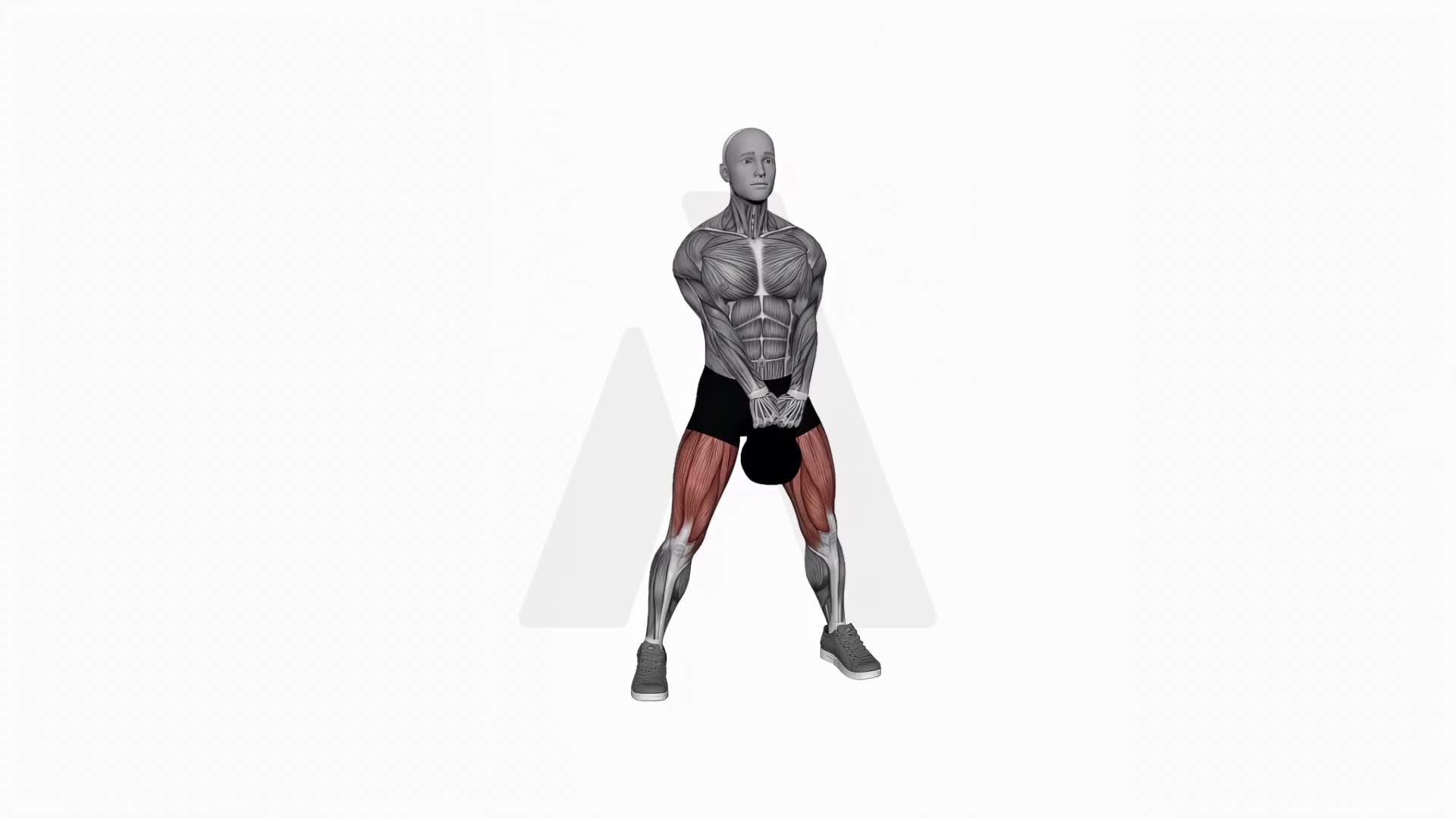 Kettlebell Sumo Squat (Version 2) exercise demonstration
