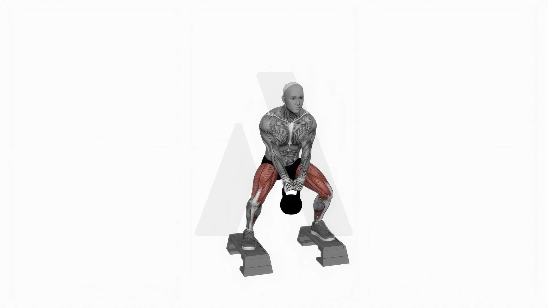 Kettlebell Sumo Squat Off Stepbox exercise demonstration