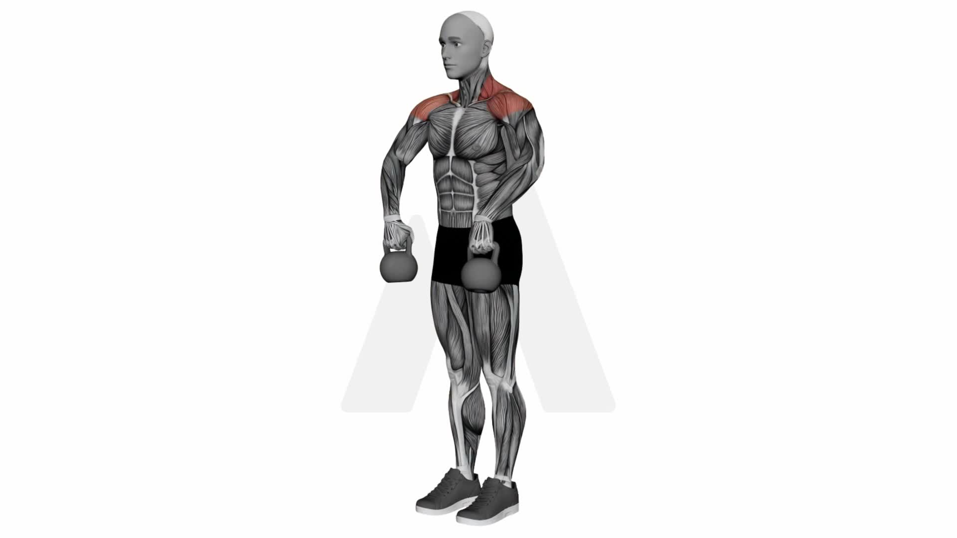 Kettlebell Upright Row exercise demonstration