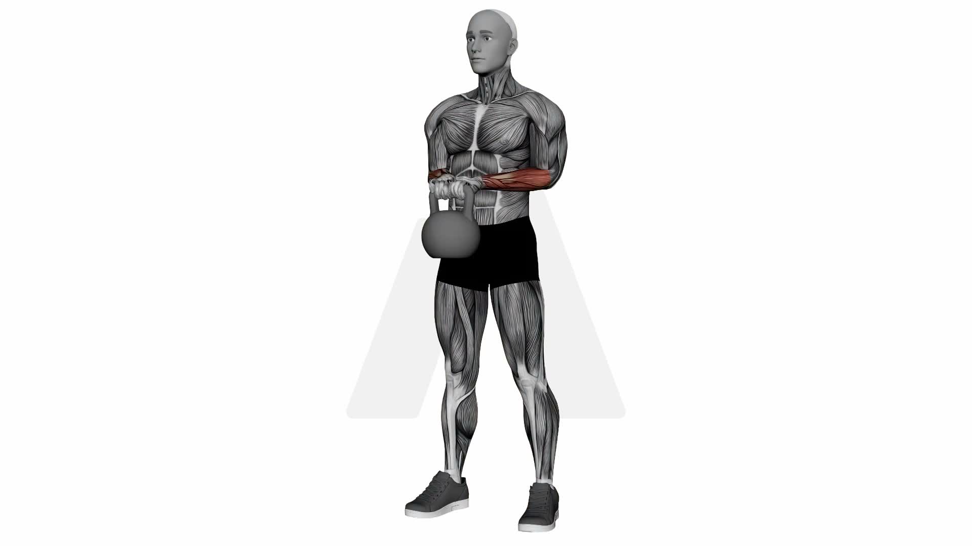 Kettlebell Wrist Curl exercise demonstration