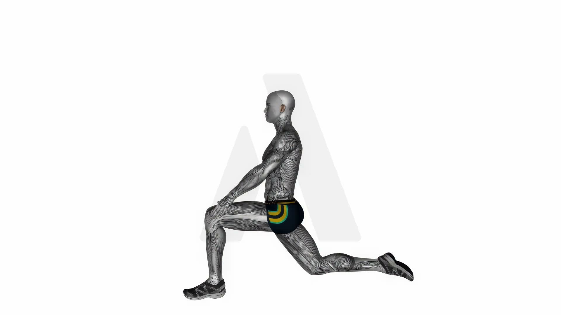 Kneeling Hip Flexor Stretch exercise demonstration