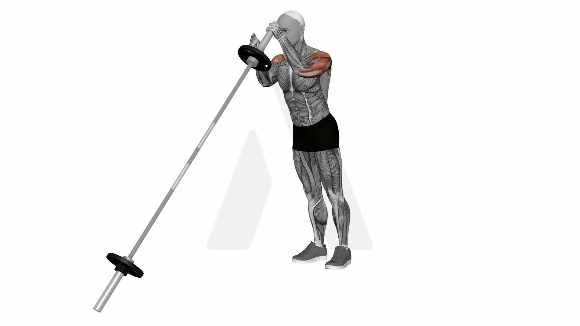 Landmine Alternating Single Arm Press exercise demonstration