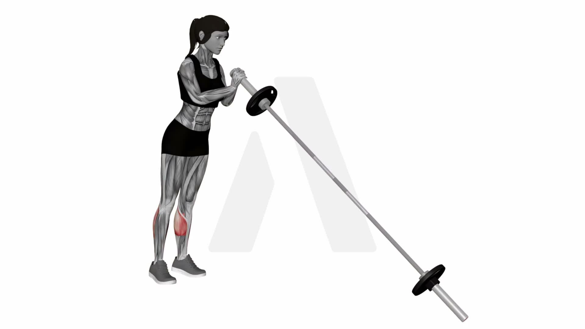 Landmine Calf Raise exercise demonstration