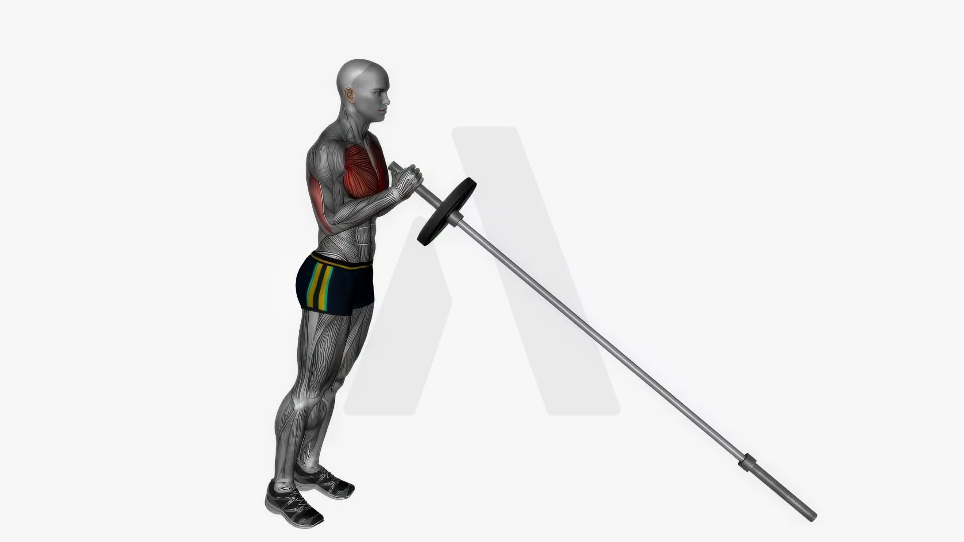 Landmine Chest Press exercise demonstration