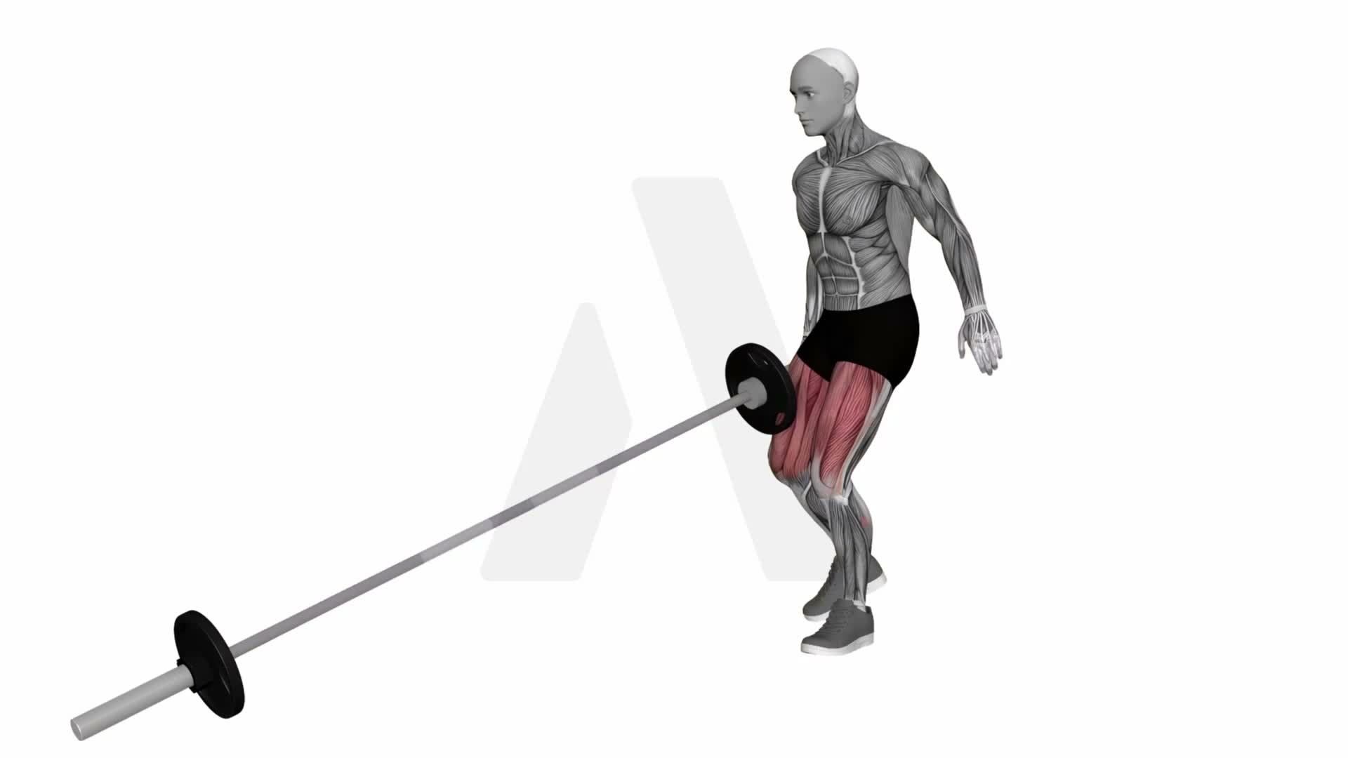 Landmine Curtsy Lunge exercise demonstration