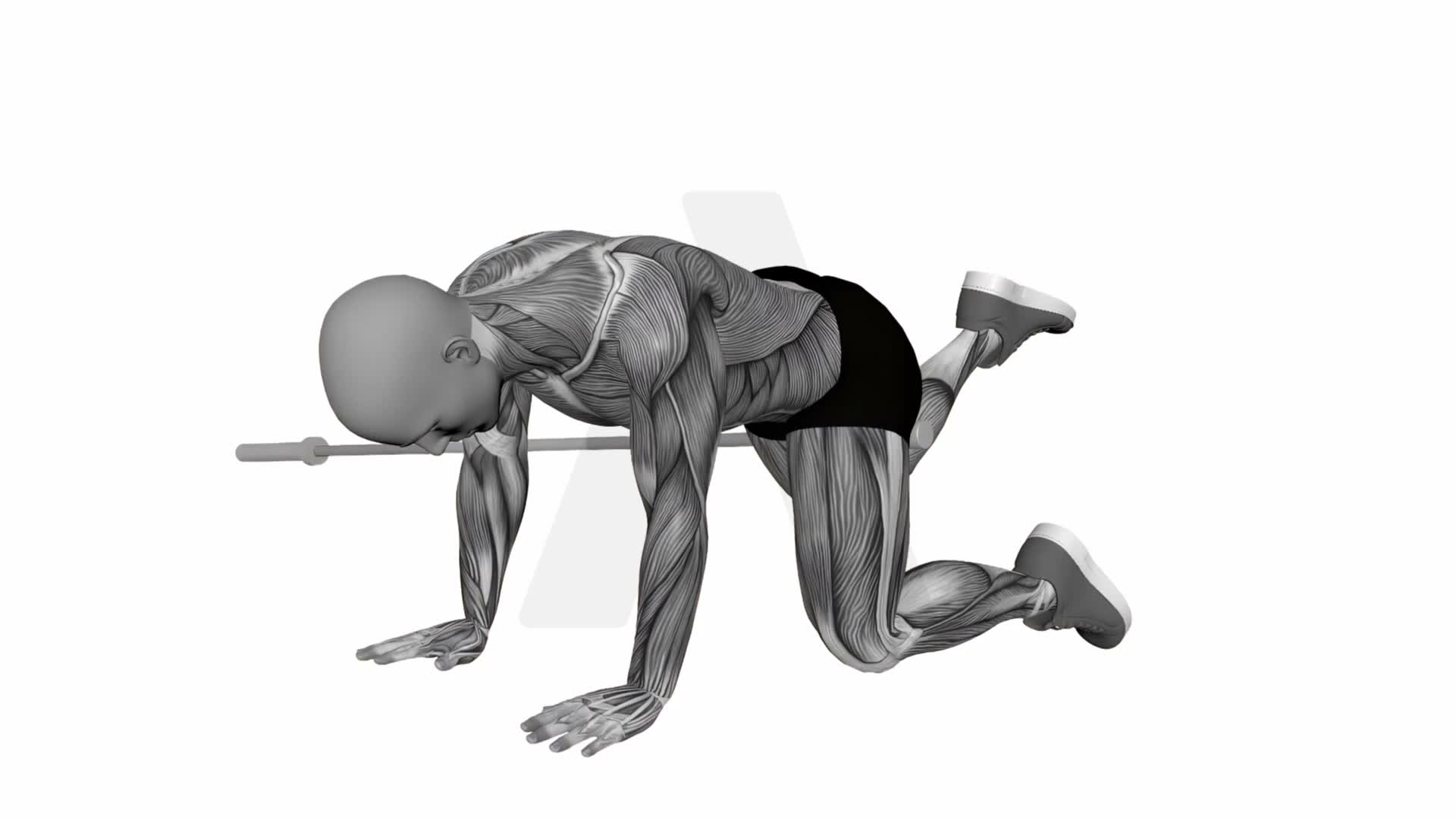 Landmine Glute Kick Back exercise demonstration